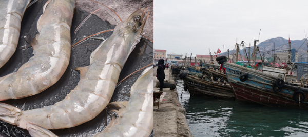 建造一個(gè)海鮮冷庫多少錢？